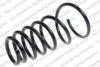 ROC CS7859 Coil Spring